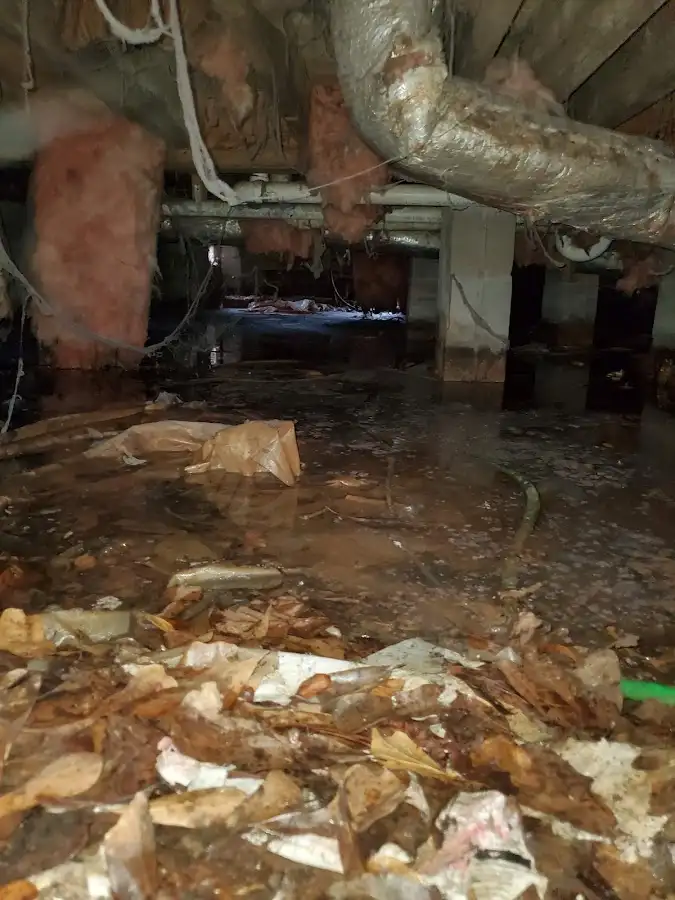 Crawl space flood assessment for Commercial Water Damage Restoration in Capitol View