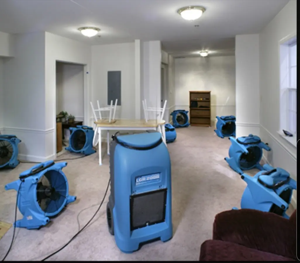Air movers and dehumidifier setup for Water Extraction & Removal in Capitol View