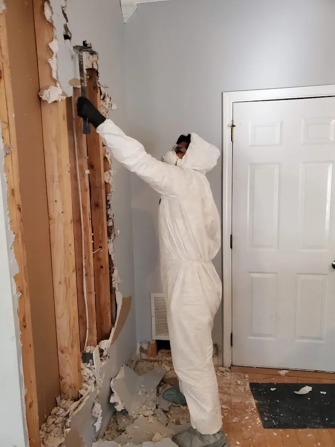 Commercial Water Damage Restoration in Capitol View, SC